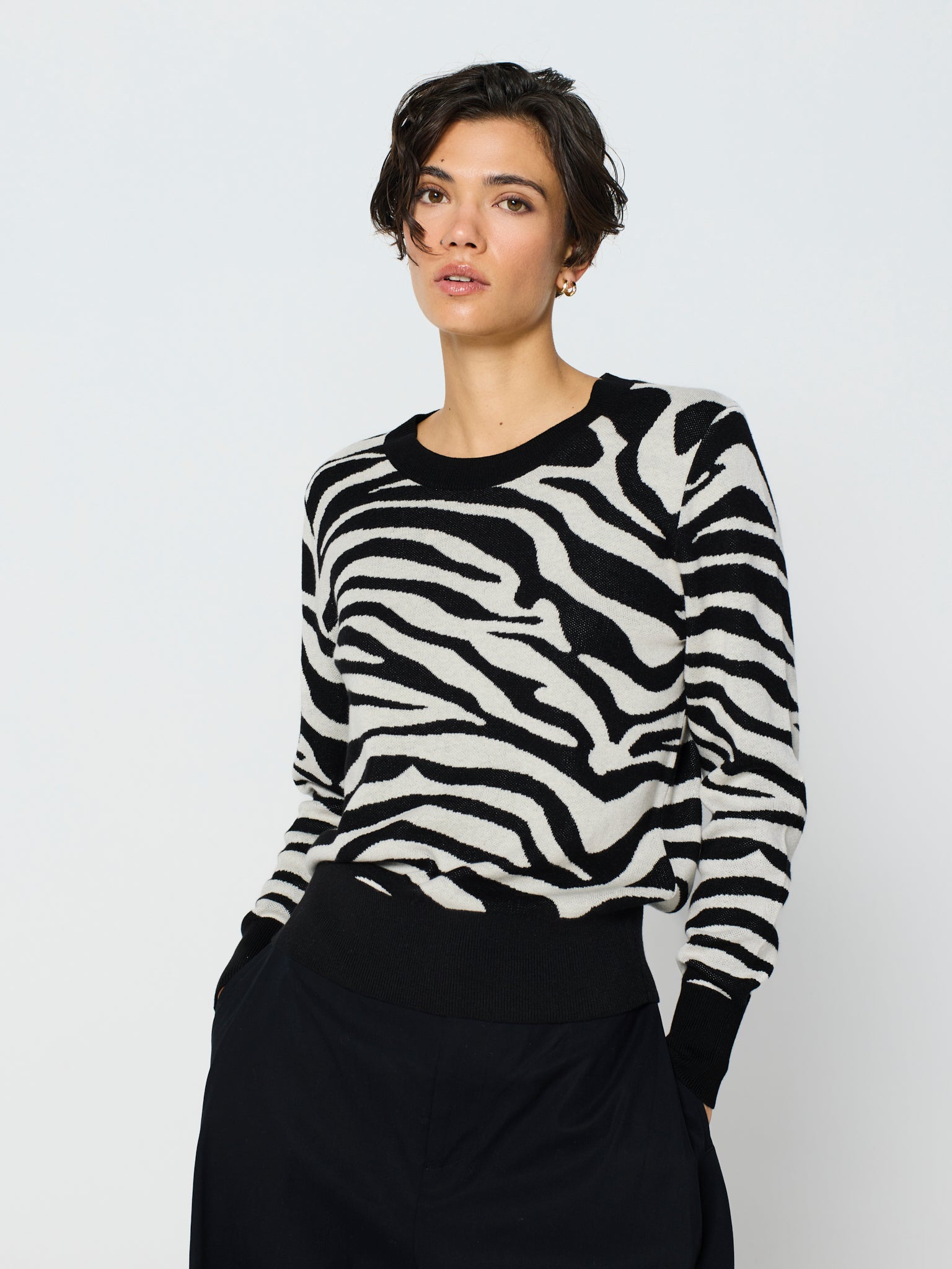 Jersei de coll rodó amb jacquard de zebra