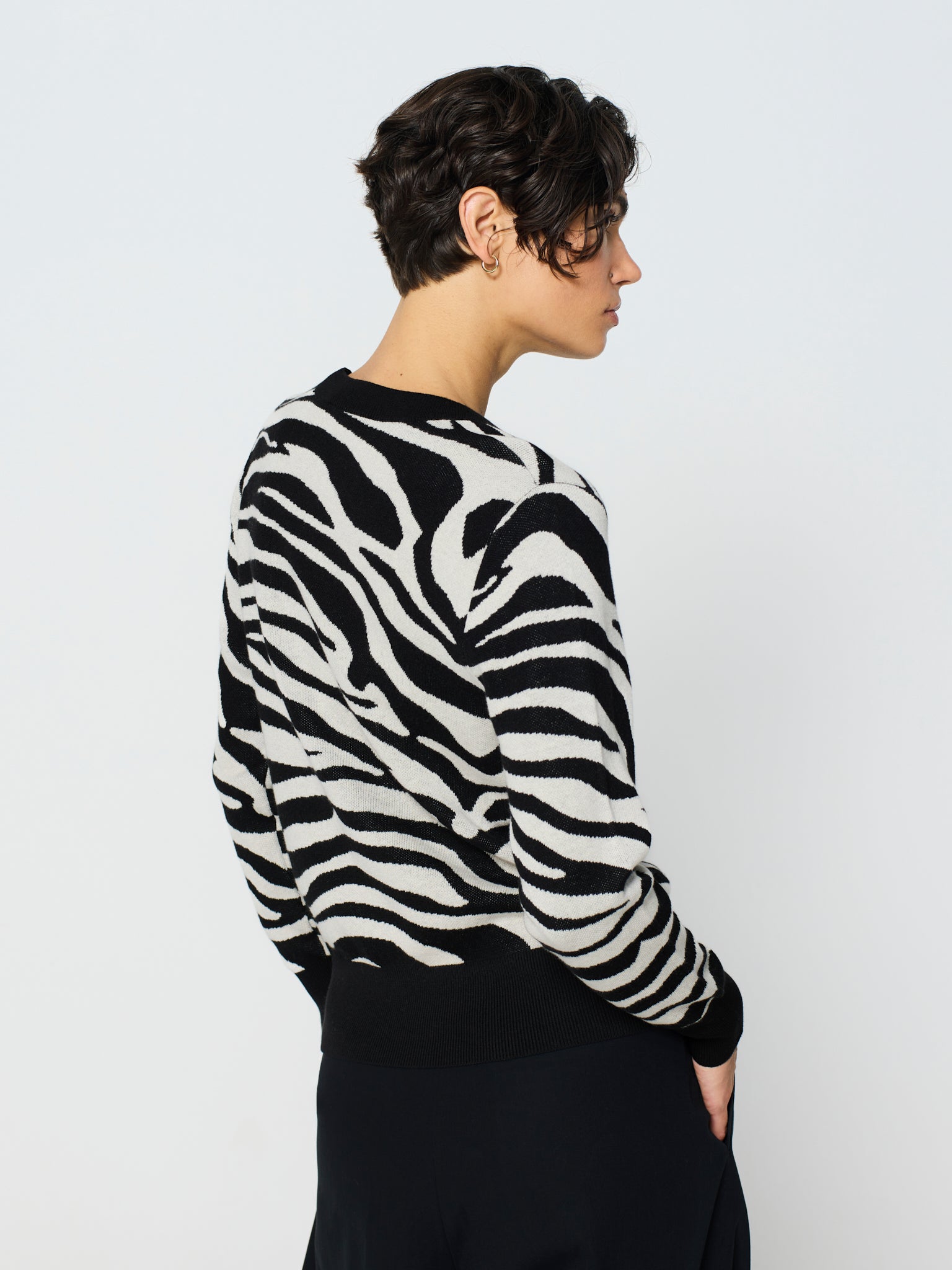Jersei de coll rodó amb jacquard de zebra