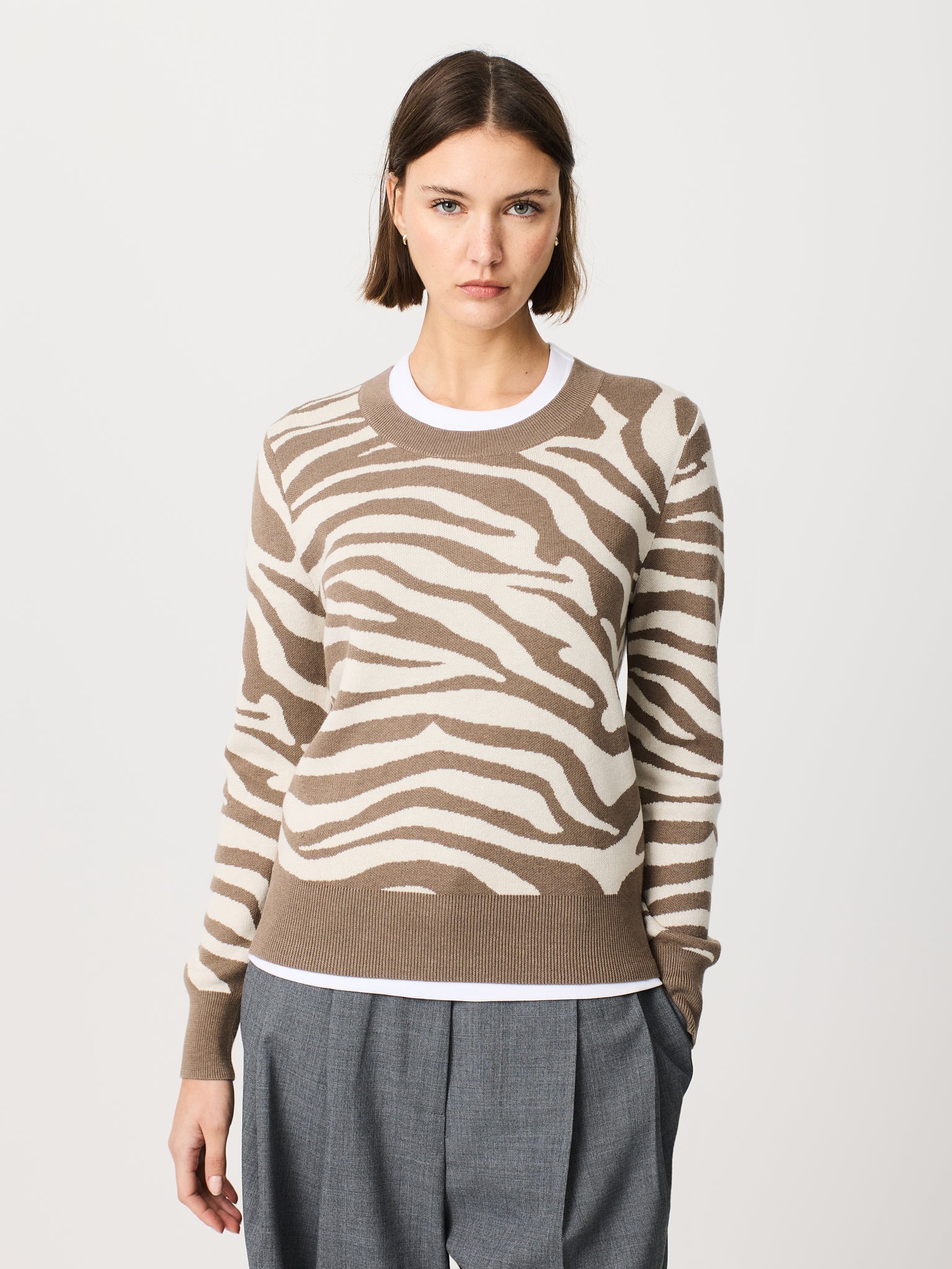 Jersei de coll rodó amb jacquard de zebra